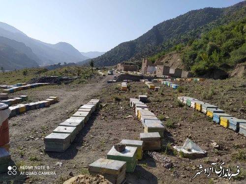 اخطار به زنبورستان‌های مهاجر غیر مجاز در شهرستان آزادشهر