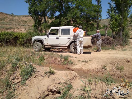 تاکنون در سطح بیش از ۳۰۰ هکتار مبارزه شیمیایی با ملخ در مراتع شهرستان آزادشهر انجام گرفته است