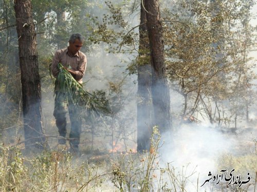 آتش سوزی ۲ عرصه جنگلی آزادشهر مهار شد