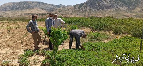 حضور بازرسان اداره کل بازرسی استان گلستان در اداره منابع طبیعی 