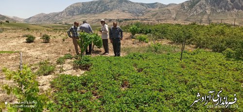 حضور بازرسان اداره کل بازرسی استان گلستان در اداره منابع طبیعی 