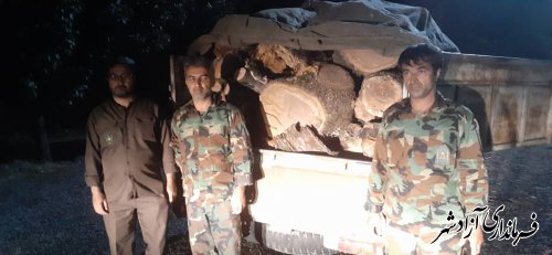 کشف و ضبط قاچاق چوب در شهرستان آزادشهر