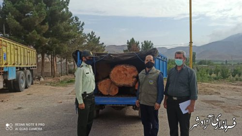 دستگیری قاچاقچی چوب درخت توسکا