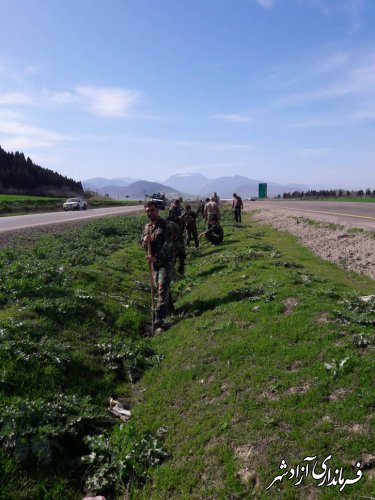 کمربند سبز در محور آزادشهر به مینودشت با کشت نهال