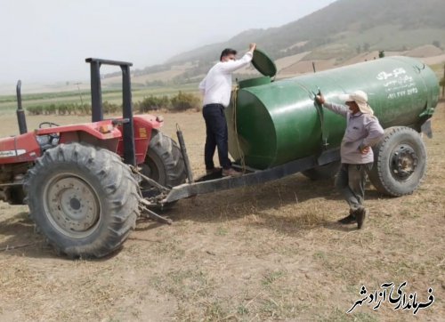 بازدید ناظر عالی طرح اراضی شیبدار سازمان جهاد کشاورزی استان از باغات احداثی شهرستان آزادشهر