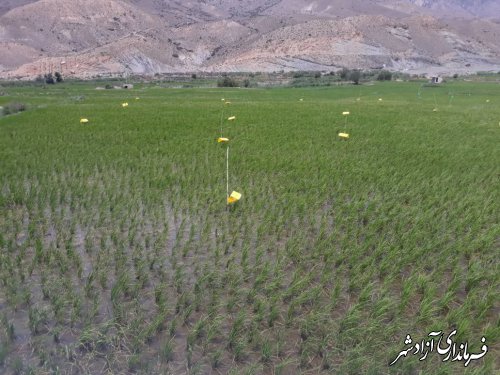 برگزاری اولین روز مزرعه در روستای رودبار مرکز جهادکشاورزی فارسیان