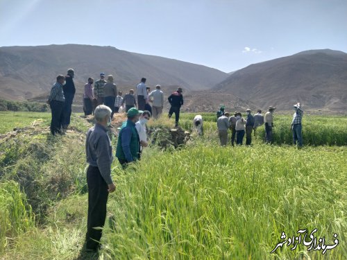 برگزاری اولین روز مزرعه در روستای رودبار مرکز جهادکشاورزی فارسیان