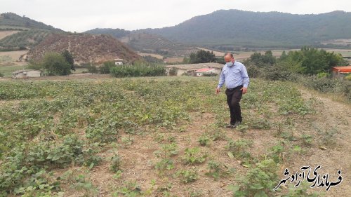  بازدید سرپرست یگان حفاظت میراث فرهنگی شهرستان آزادشهر از قوچ تپه روستای خاندوز سادات