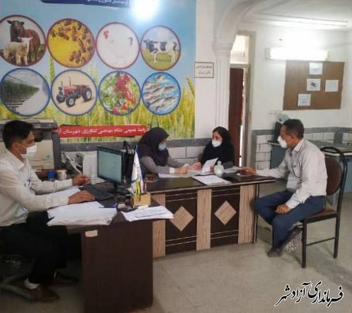 بررسی آخرین وضعیت گلخانه ها در شهرستان آزادشهر
