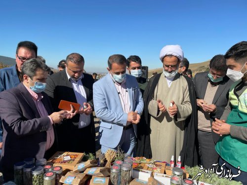 اولین جشنواره تخصصی گیاهان دارویی در روستای فاضل آباد شهرستان آزادشهر برگزار شد.