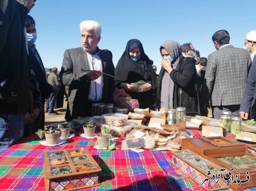 همکاري مرکز فني و حرفه اي آزاشهر با شرکت کشاورزي سبزينه در زمينه آموزشهاي مهارتي و برگزاري جشنواره گياهان دارويي