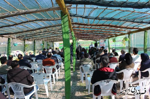 اولین جشنواره تخصصی گیاهان دارویی در شهرستان آزادشهر برگزار شد