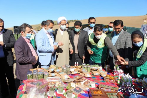 اولین جشنواره تخصصی گیاهان دارویی در شهرستان آزادشهر برگزار شد