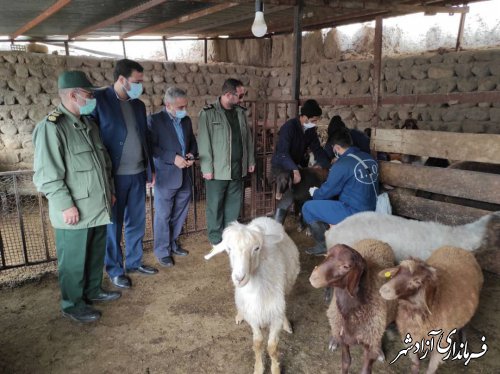 اقدامات اداره دامپزشکی شهرستان آزادشهر به مناسبت هفته بسیج 