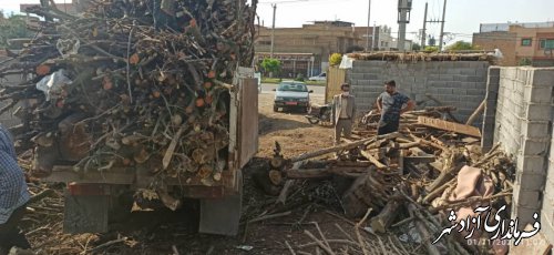 بازدید از مراکز خرید چوب در شهرستان آزادشهر