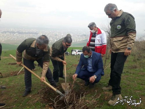 پویش مردمی هر ایرانی یک درخت در آزادشهر برگزار شد