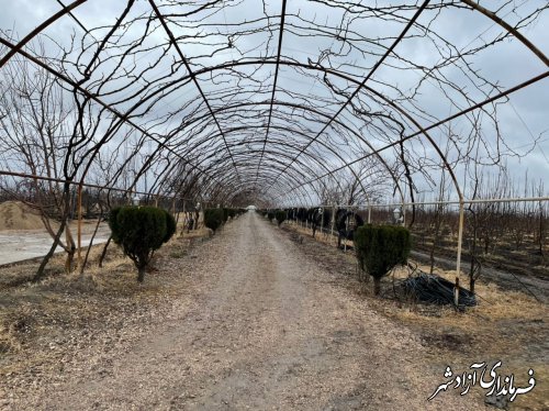 بازدید از مزارع متقاضیان ایجاد مزرعه گردشگری شهرستان آزادشهر