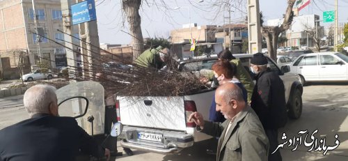 توزیع نهال از گونه های جنگلی در بین نمازگزاران