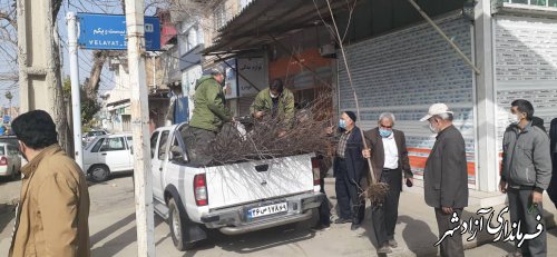 توزیع نهال از گونه های جنگلی در بین نمازگزاران