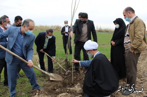 پویش هر ایرانی یک نهال در شهرستان آزادشهر انجام شد