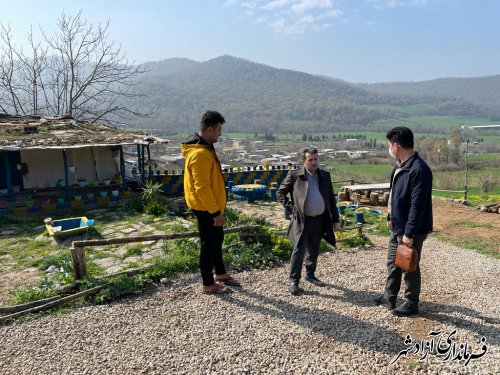 بازدید از مزارع متقاضیان ایجاد مزرعه گردشگری شهرستان آزادشهر