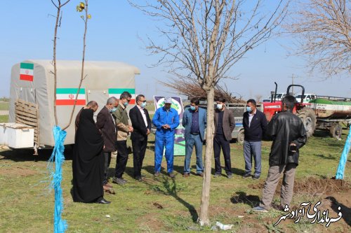 اجرای پویش ملی ایران سرسبز در روستای قورچای