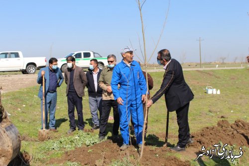 اجرای پویش ملی ایران سرسبز در روستای قورچای