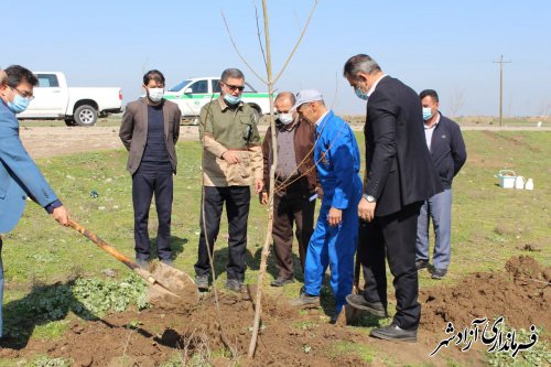 اجرای پویش ملی ایران سرسبز در روستای قورچای