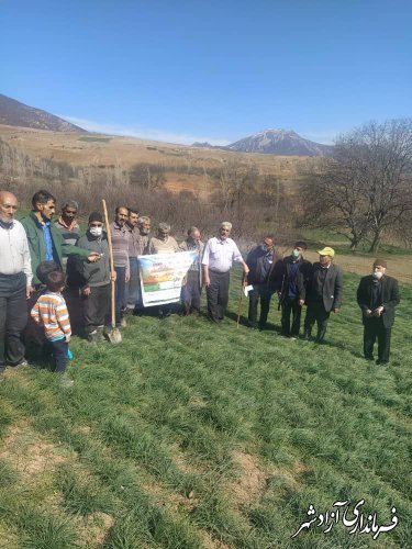 برگزاری کارگاه عملی آموزش هرس، تغذیه باغات و تغذیه مزارع زعفران در روستای سیب‌چال