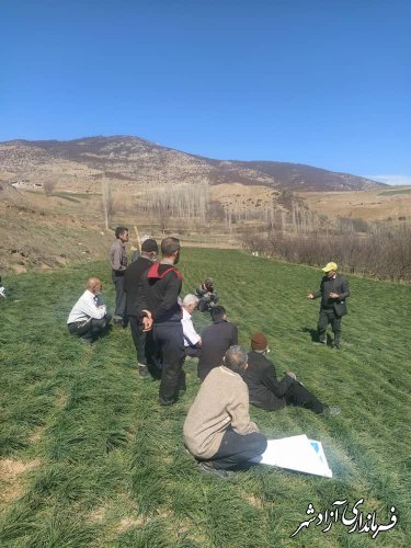 برگزاری کارگاه عملی آموزش هرس، تغذیه باغات و تغذیه مزارع زعفران در روستای سیب‌چال