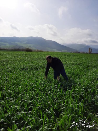 خدمت رسانی جهادکشاورزی در ایام تعطیل عید نوروز هم ادامه داشته است