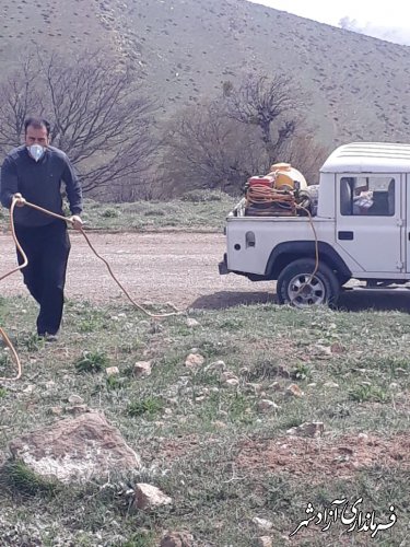 آغاز عملیات مبارزه با ملخ در شهرستان آزادشهر