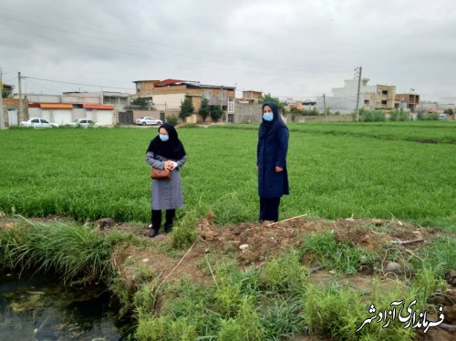 با متخلفانی که مزارع خود را با فاضلاب آبیاری می‌کنند، برخورد می‌شود