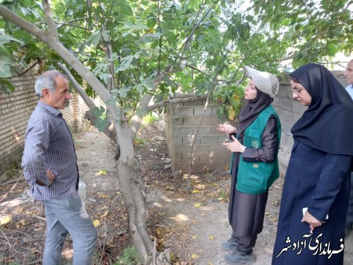 افزایش مگس میوه روی درختان انجیر، انار، گلابی و خرمالو کشت شده در حیاط خانه‌باغ‌ها