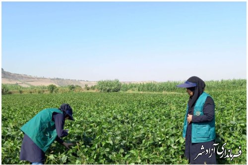 برگزاری کلاس آموزشی داشت سویا در روستای خاندوزسادات