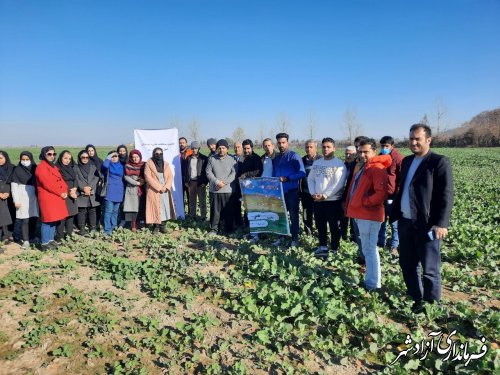 برگزاری کارگاه‌ آموزشی داشت کلزا در دو مزرعه در شهرستان آزادشهر