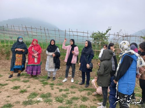 مسابقه ورزشی آقایان و بانوان در جشنواره روستای فاضل آباد