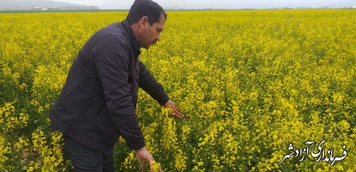 خدمت‌رسانی جهادکشاورزی در ایام تعطیل عید نوروز ادامه دارد