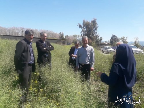 بازدید مدیر كل دفتر پیش آگاهی سازمان حفظ نباتات کشور از مزارع گندم و کلزا در شهرستان آزادشهر