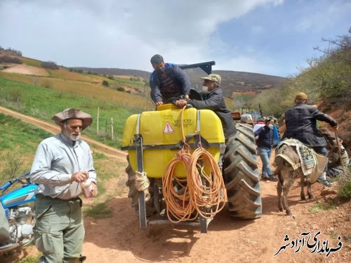 آغاز مبارزه با ملخ در شهرستان آزادشهر