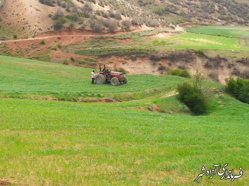 آغاز مبارزه با ملخ در شهرستان آزادشهر