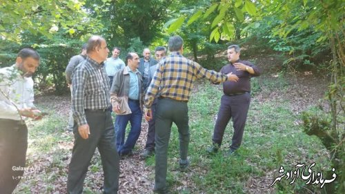 راه دسترسی تفرجگاه آبشار لاشو شهرستان آزادشهر ساماندهی می شود