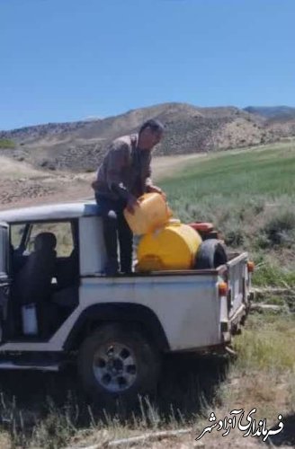 مبارزه با ملخ در سطح بیش از ٣٠٠ هکتار در شهرستان آزادشهر