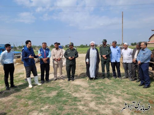 برگزاری رزمایش جهادی دامپزشکی در روستای قورچای شهرستان آزادشهر