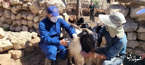  رزمایش جهادی دامپزشکی  در مناطق دور دست و صعب العبور شهرستان آزادشهر در تاریخ ۲۴ مرداد ماه 