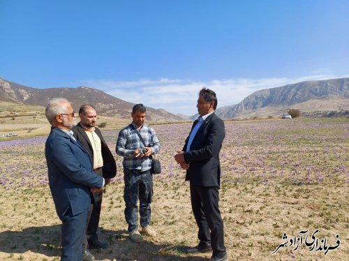 بازدید سرپرست اداره فرهنگ و ارشاد اسلامی از روند برگزاری جشنواره ملی عکس زعفران