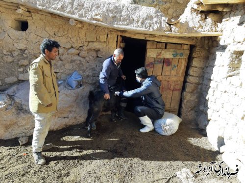 انجام واکسیناسیون علیه بیماری آبله و بروسلوز بره و بزغاله در نقطه مرزی بین استان گلستان و سمنان