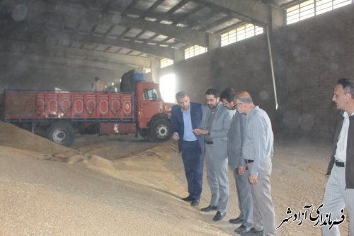  پیش بینی میشود بیش از ۵۰ هزار تن گندم در سطح شهرستان تولید شود
